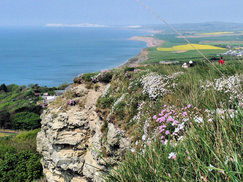 (50) The view from Blackgang Chine.JPG